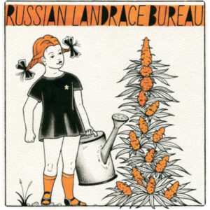 Russian Landrace Bureau Ruderalis Autoflower