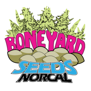 Boneyard Seeds NorCal