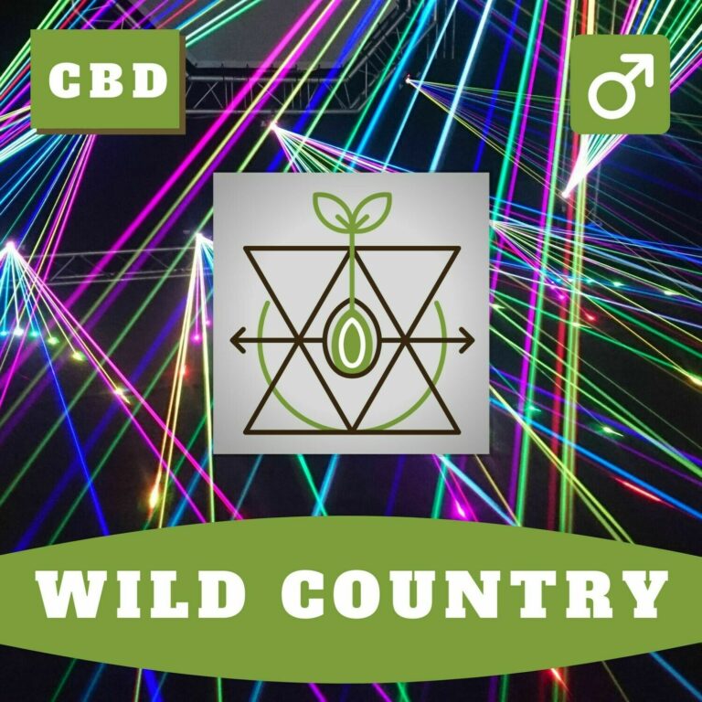 Hoku Seed Co - Wild Country CBD