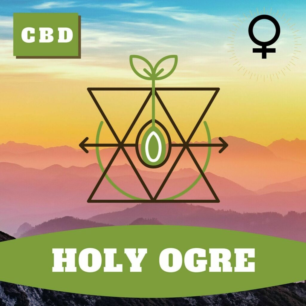 Hoku Seeds - Holy OGRE CBD CBG