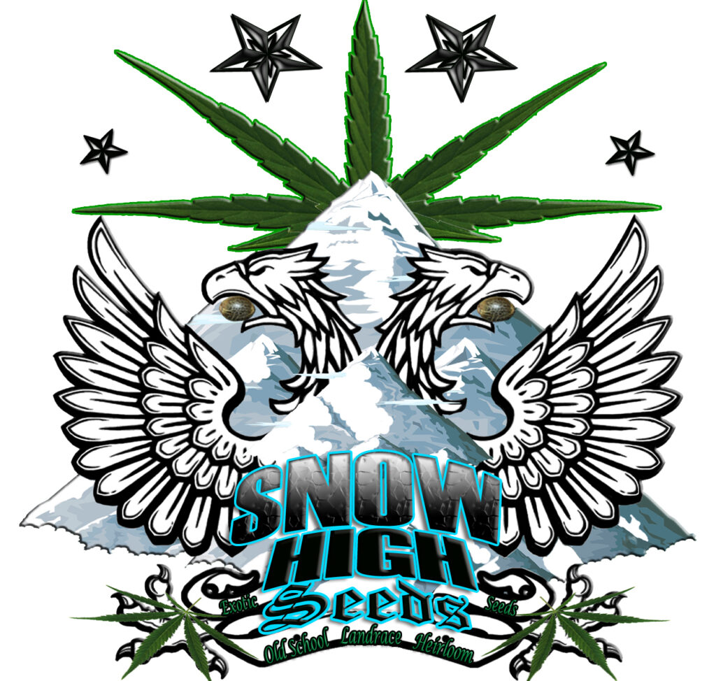 Snow High Seeds Legendary Genetix