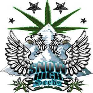 Snow High Seeds Legendary Genetix