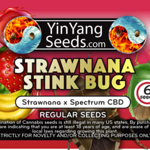 Strawnana Stinkbug