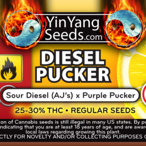 Yin Yang Seeds Diesel Pucker