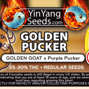 Yin Yang Seeds Golden Pucker
