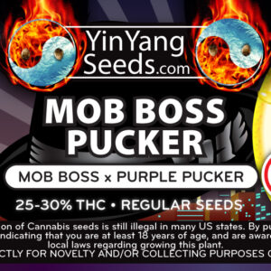 Yin Yang Seeds Mob Boss Pucker