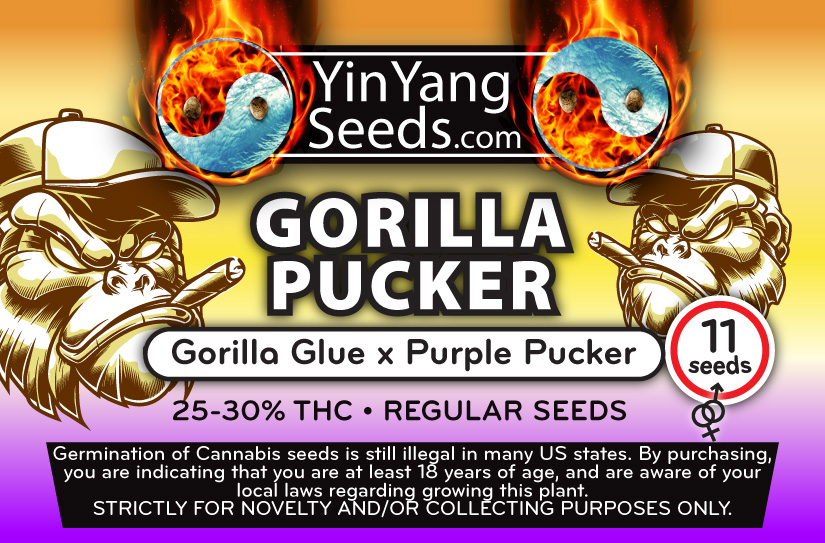 Yin Yang Seeds