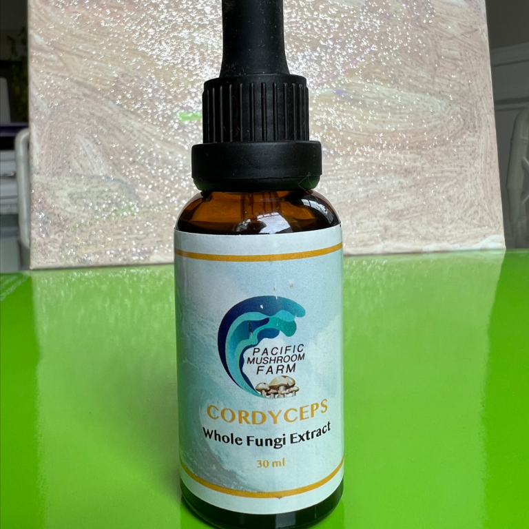 Mushroom Tincture Cordyceps Fungi