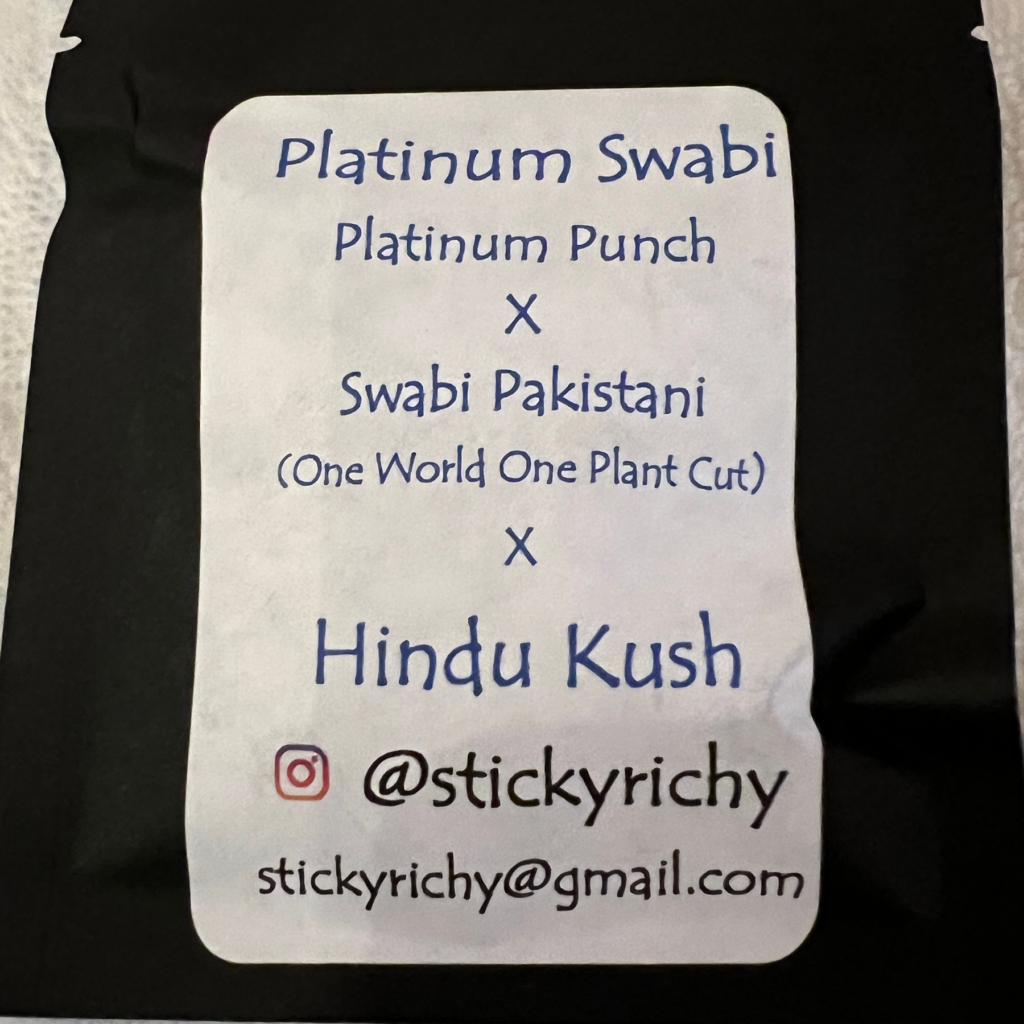 Platinum Swabi (Platinum Punch x Swabi Pakistani) x Hindu Kush cannabis seeds