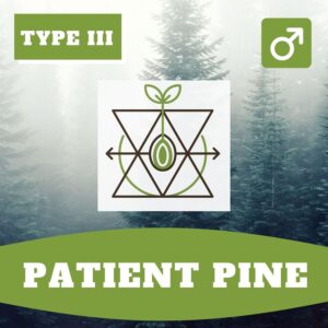 patient pine Sedativa S1 Auto X Pinewalker CBDV