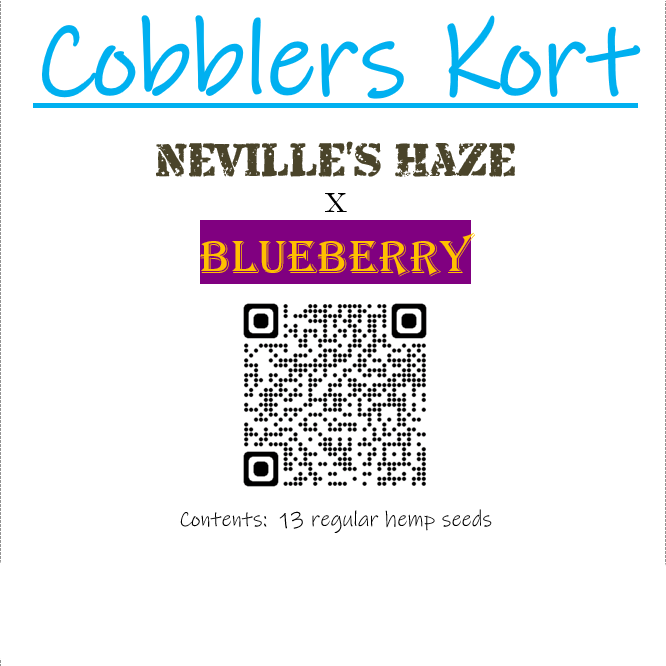Bhang Dog Cobblers Kort Neville's Haze x DJ Short Blueberry