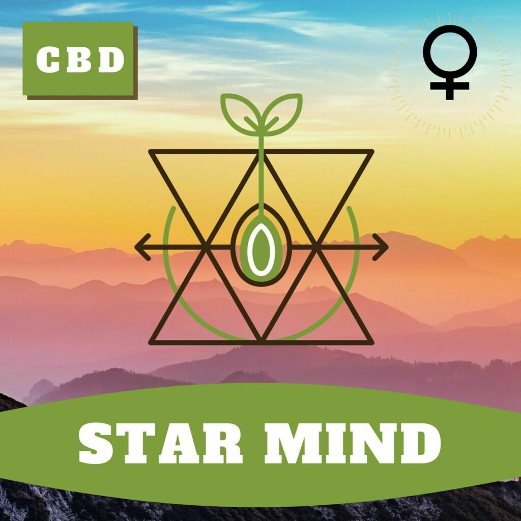 hoku seed co star mind cbd