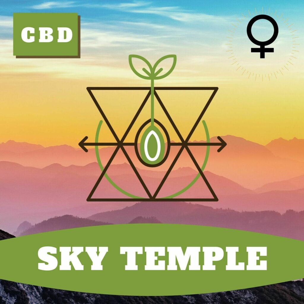hoku seed co sky temple cbd cbc feminized