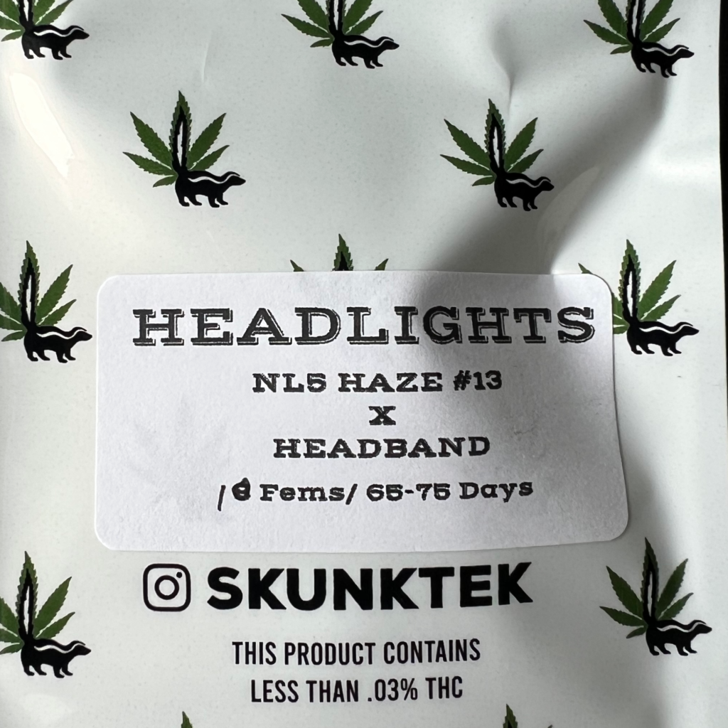 Skunktek Headlights (NL5 Haze x Headband)