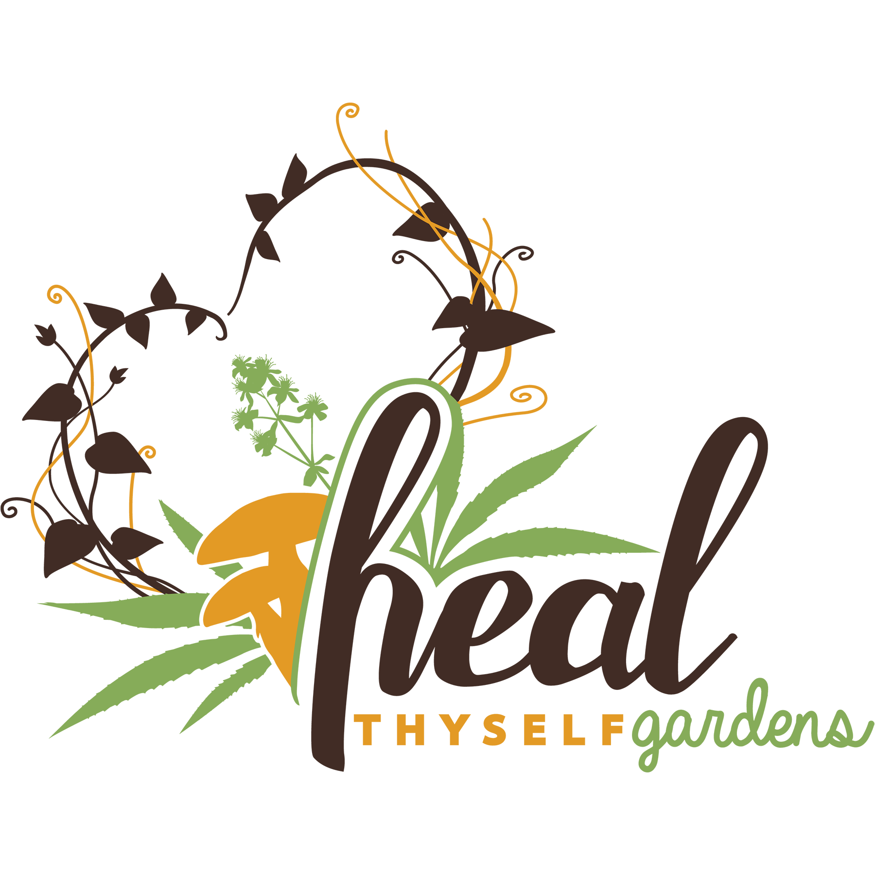 heal-thyself-gardens-dagga-garden