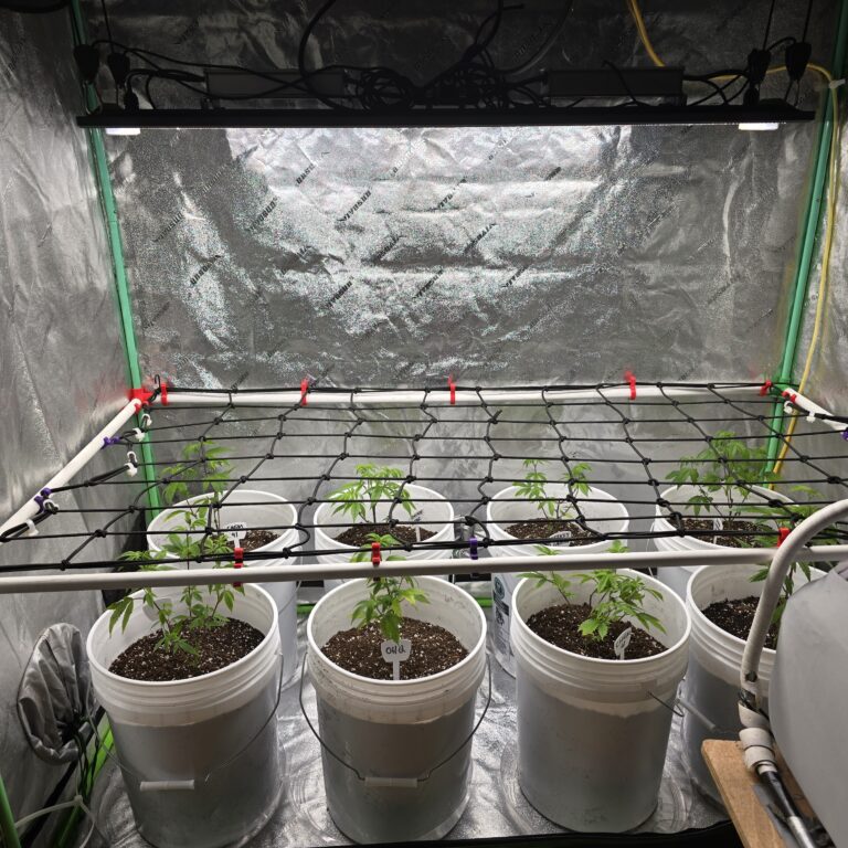 boneyard trellis kit tent