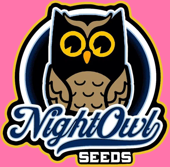 Night Owl Seeds