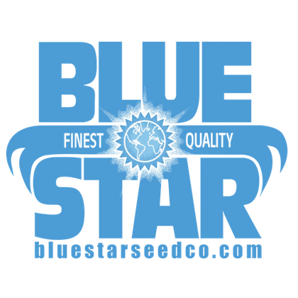 Blue Star Seed Co
